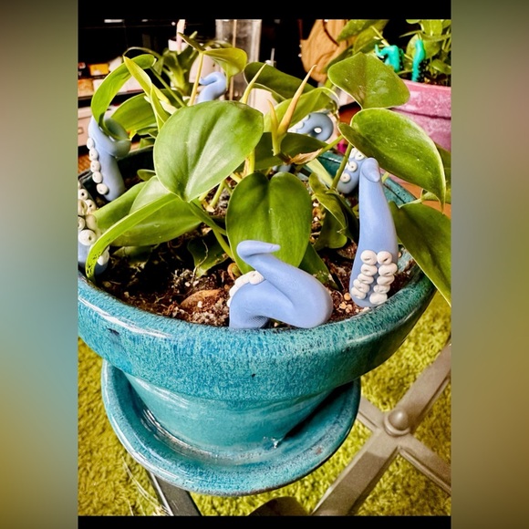 8 Baby Blue Sea Creature Tentacles 🦑Decor Tentacle Unique Modern Indoor Plant - Picture 9 of 10
